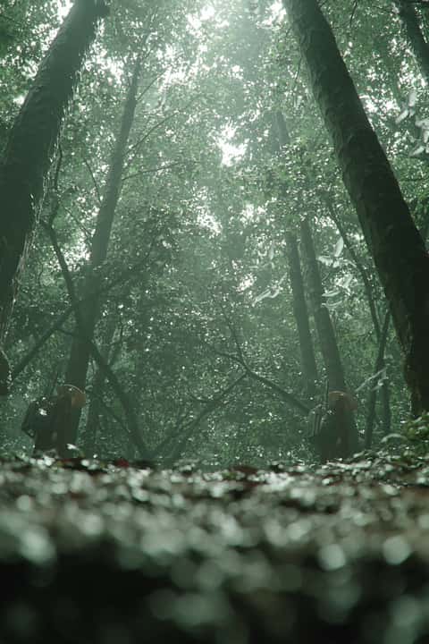 Example of an image generated in MidJourney