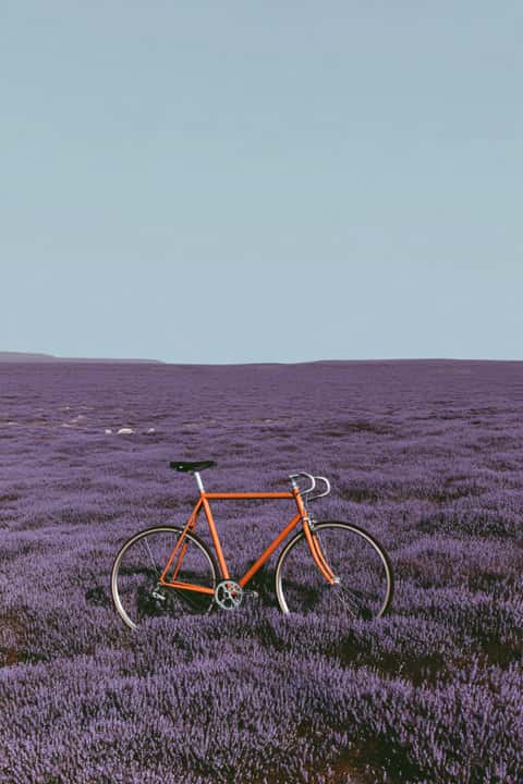 Example of an image generated in MidJourney