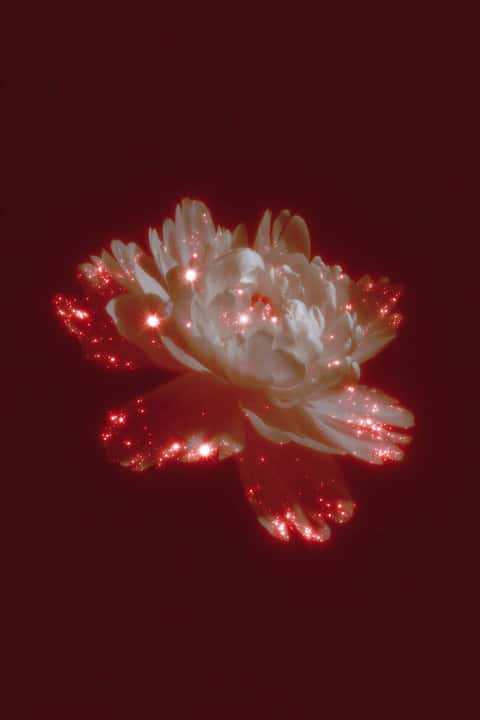 Example of an image generated in MidJourney