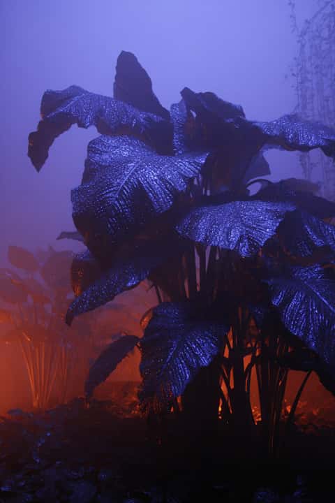 Example of an image generated in MidJourney