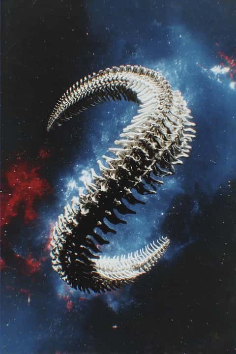 Example of an image generated in MidJourney